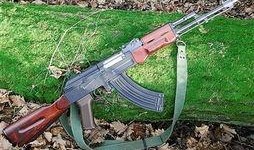 最新爆料的武器是什么枪,神秘新型枪械震撼登场